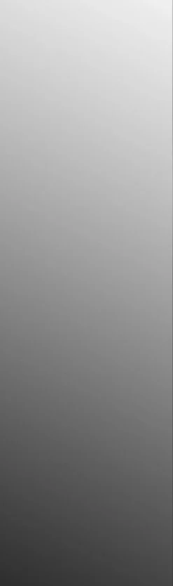 Cansu 50 x 170 x 3 cm spegel