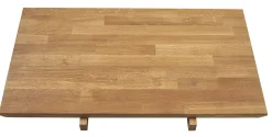 Lake Iläggsplatta 50 x 99.5 cm