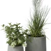 Mirabel Krukset med 2 st.