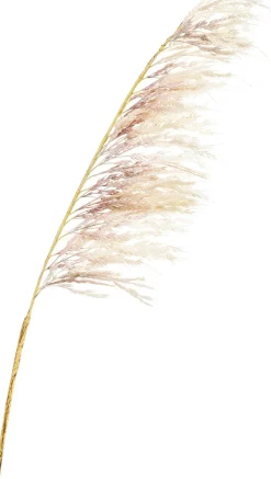 Pampas konstgjord växt 125 cm