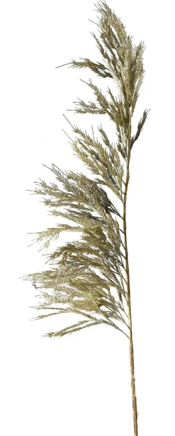 Pampas konstgjord växt 125 cm