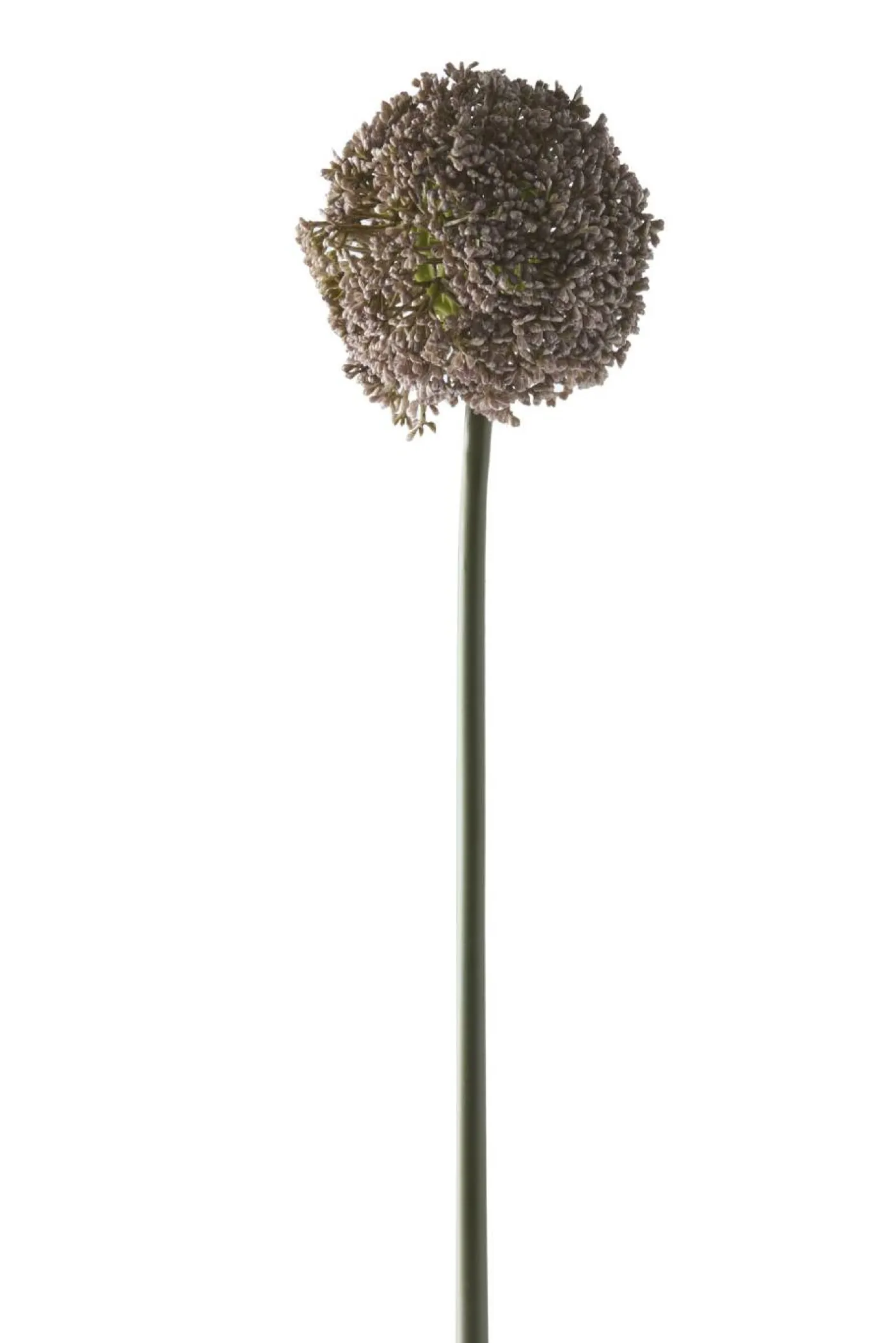 Prydløg konstgjord växt 74 x 11 cm