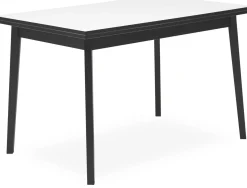 Single Matbord 120 x 80 x 76 cm