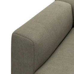Zano Schäslongmodul