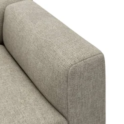 Zano Schäslongmodul